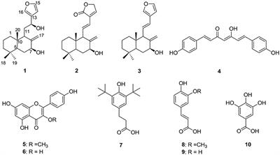 Coronarin K and L: Two Novel Labdane Diterpenes From Roscoea purpurea: An Ayurvedic Crude Drug